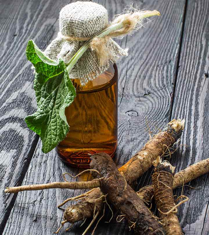 African herbs for hair growth. Why Does Burdock Root Help Hair Grow?