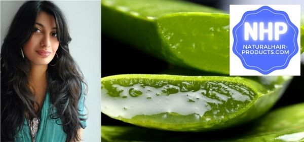 Hair growth recipes. can I use aloe vera gel on my hair everyday?