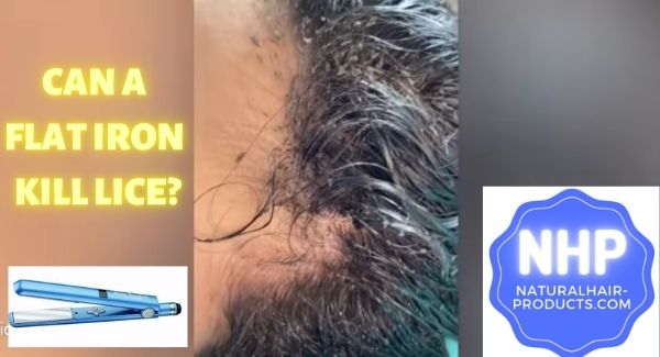 Can A Flat Iron Kill Lice & Eggs? [The Truth]