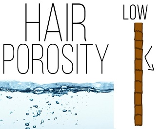 Does porous hair hold color? low porosity