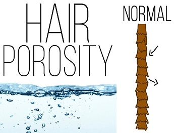 Does Porous Hair Hold Color? [Honest Answer]