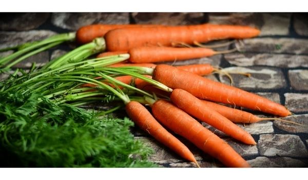 foods for hair growth carrots