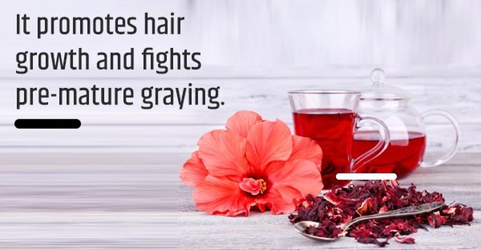 Hibiscus African herbs for hair growth also prevents pre-mature graying