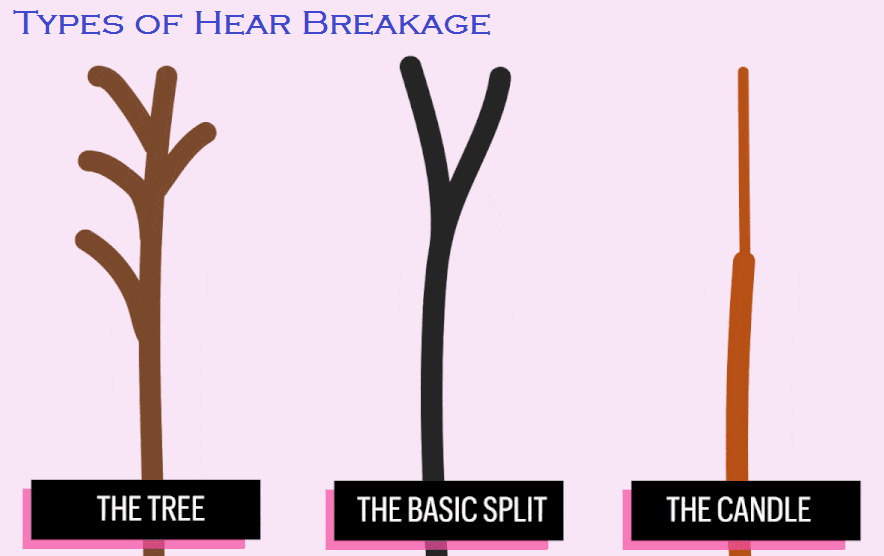how to stop hair breakage naturally