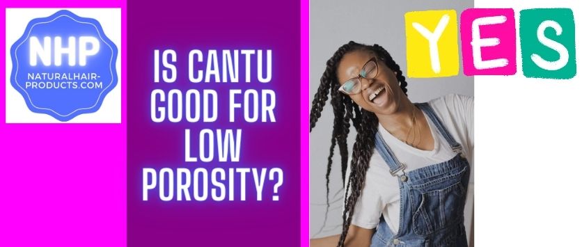Is cantu good for low porosity hair. NHP product reviews before after.