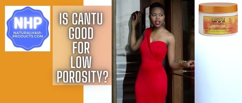 Is cantu good for low porosity hair?