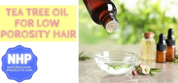Is tea tree oil good for low porosity hair? Find out now...