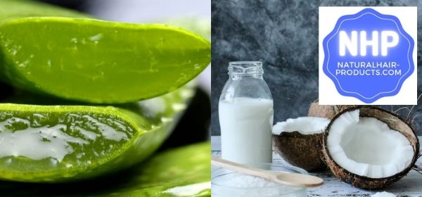 can I use aloe vera gel on my hair everyday? diy coconut milk recipe hair growth