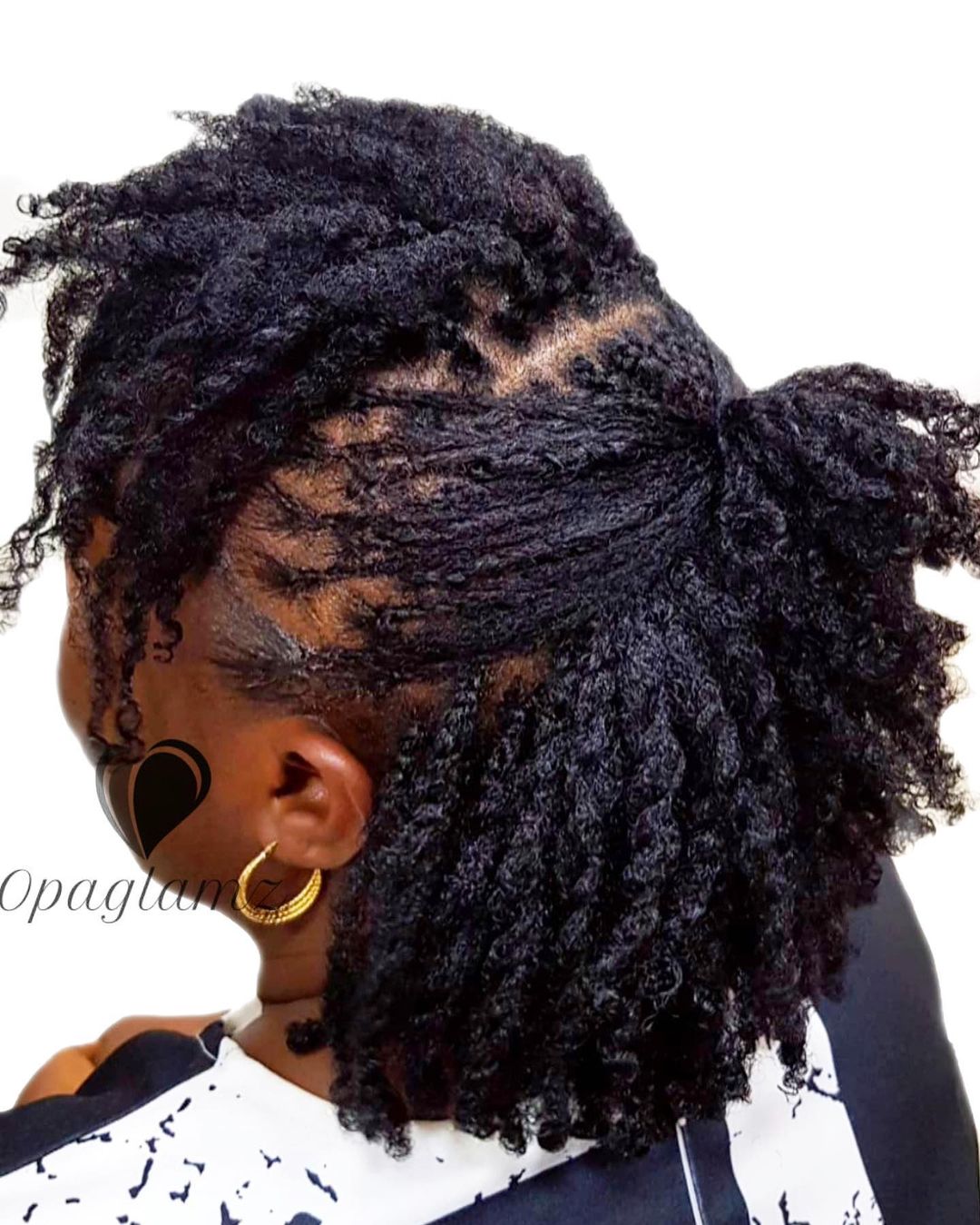 Black hairstyles twist braids for women NHP Approved