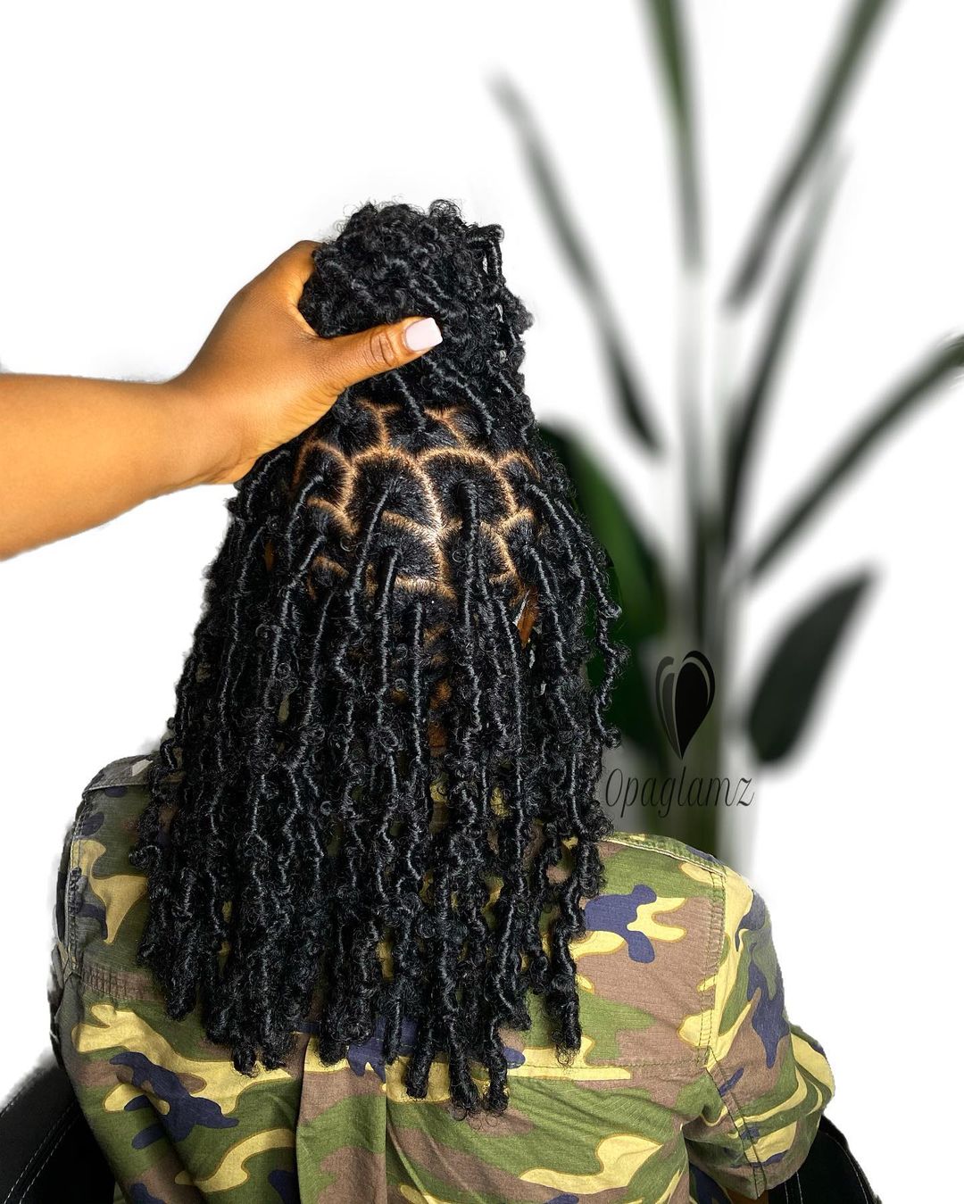 Black hairstyles for women NHP Approved