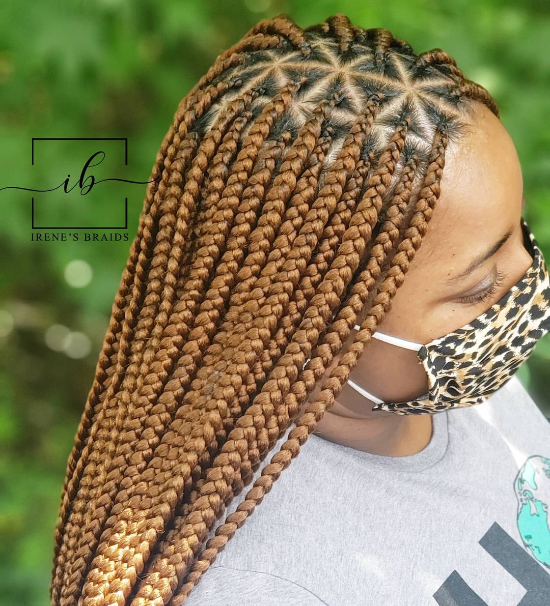 braided hairstyles NHP Approved