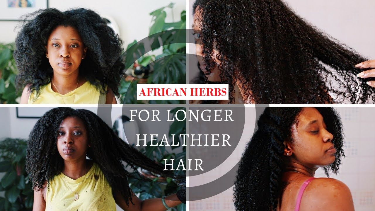 African herbs for hair growth - henna