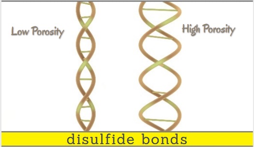 does low porosity hair need protein - disulfide bonds