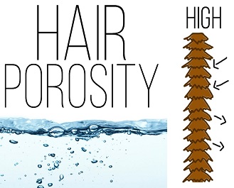 does porous hair hold color - high porosity
