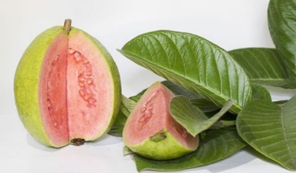 food for hair growth guava