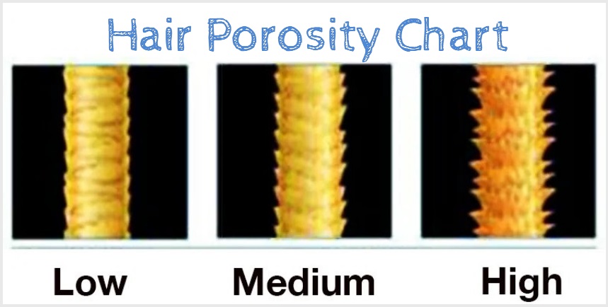 does low porosity hair need protein  hair-porosity-chart-natural-hair-products