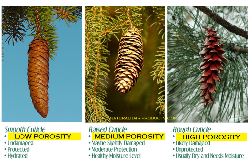 Hair Porosity Chart