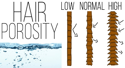 Natural Hair Porosity Chart
