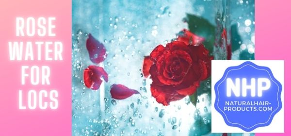 Learn how to make rose water for locs. Rose water and glycerin benefits for dreadlocks are unreal! The #1 DIY recipe has peppermint, coconut or castor oil as...