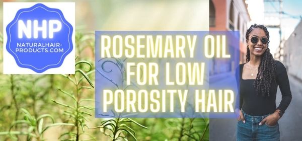 rosemary oil for low porosity hair